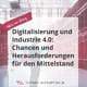 Person arbeitet an einem Laptop vor einer industriellen Kulisse, symbolisiert die Integration von Digitalisierung und Industrie 4.0 im Mittelstand, mit Fokus auf Prozessoptimierung, Organisation und Geschäftsfeldentwicklung.