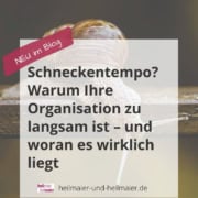 Organisation zu langsam? Warum Ihr Unternehmen trotz Einsatz nicht vorankommt 1 Titelbild zu Gründen warum die Organisation zu langsam ist mit Schnecke