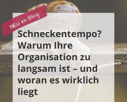 Titelbild zu Gründen warum die Organisation zu langsam ist mit Schnecke